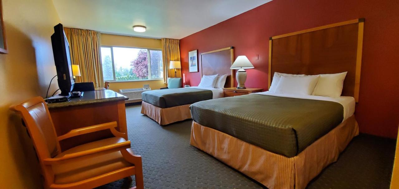 Inn Olympic View 2*
